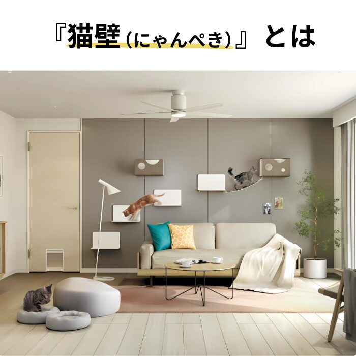 猫壁、リクシル