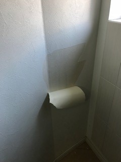 エコカラット③