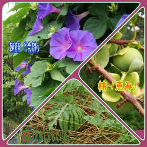 2015-07-08-09-13-45_deco[1]