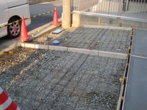 IMG_1025