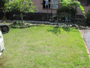 IMG_1768