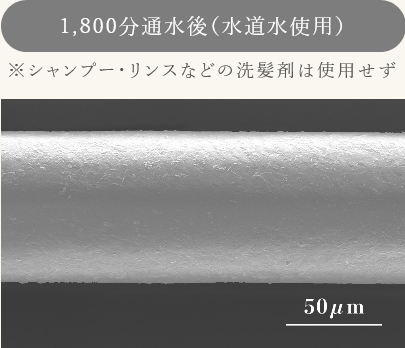 浄水シャワー、脱塩素、美容、佐賀