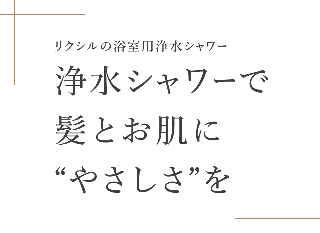 浄水シャワー、脱塩素、美容、佐賀